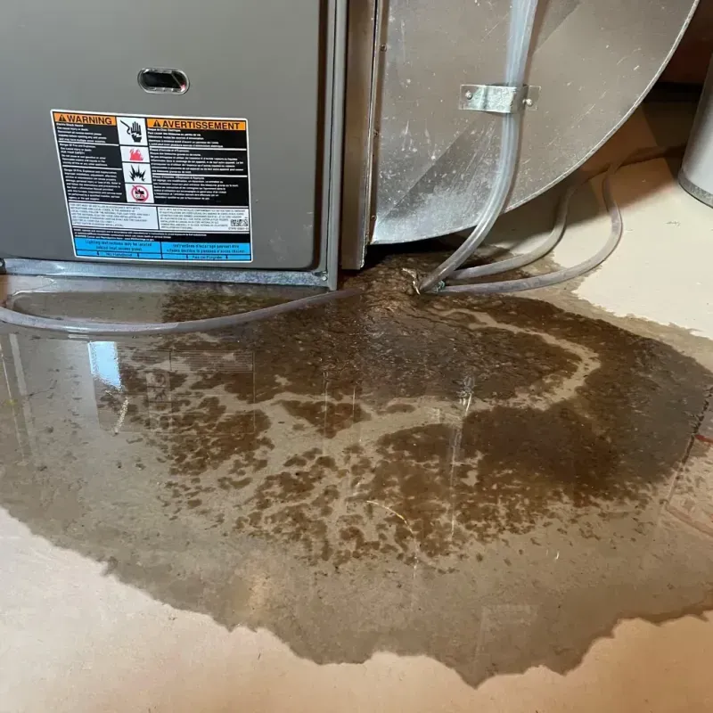 Appliance Leak Cleanup in Mount Clemens, MI